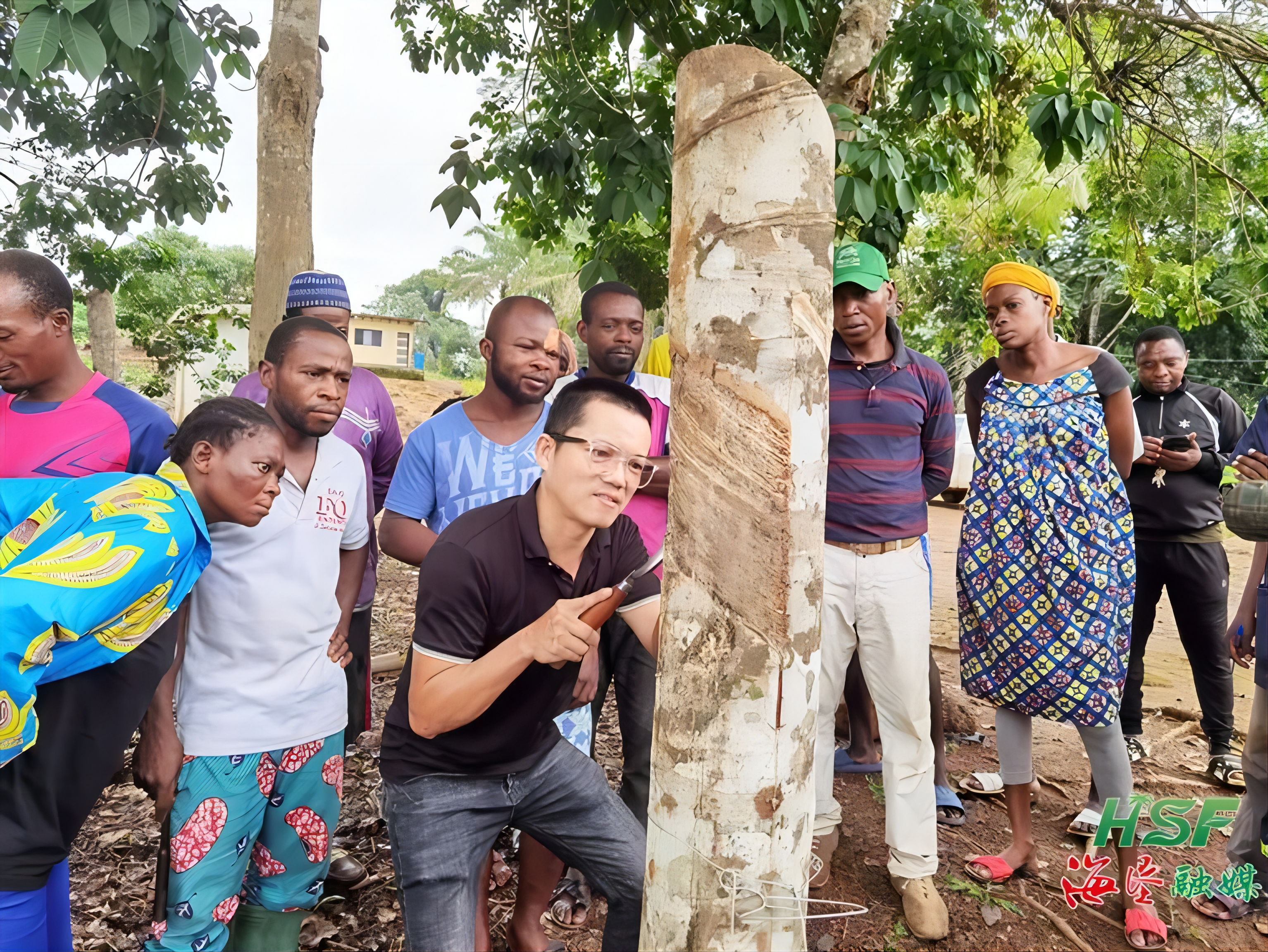 1717556602476043017.jpg 1717556602476043017.jpg