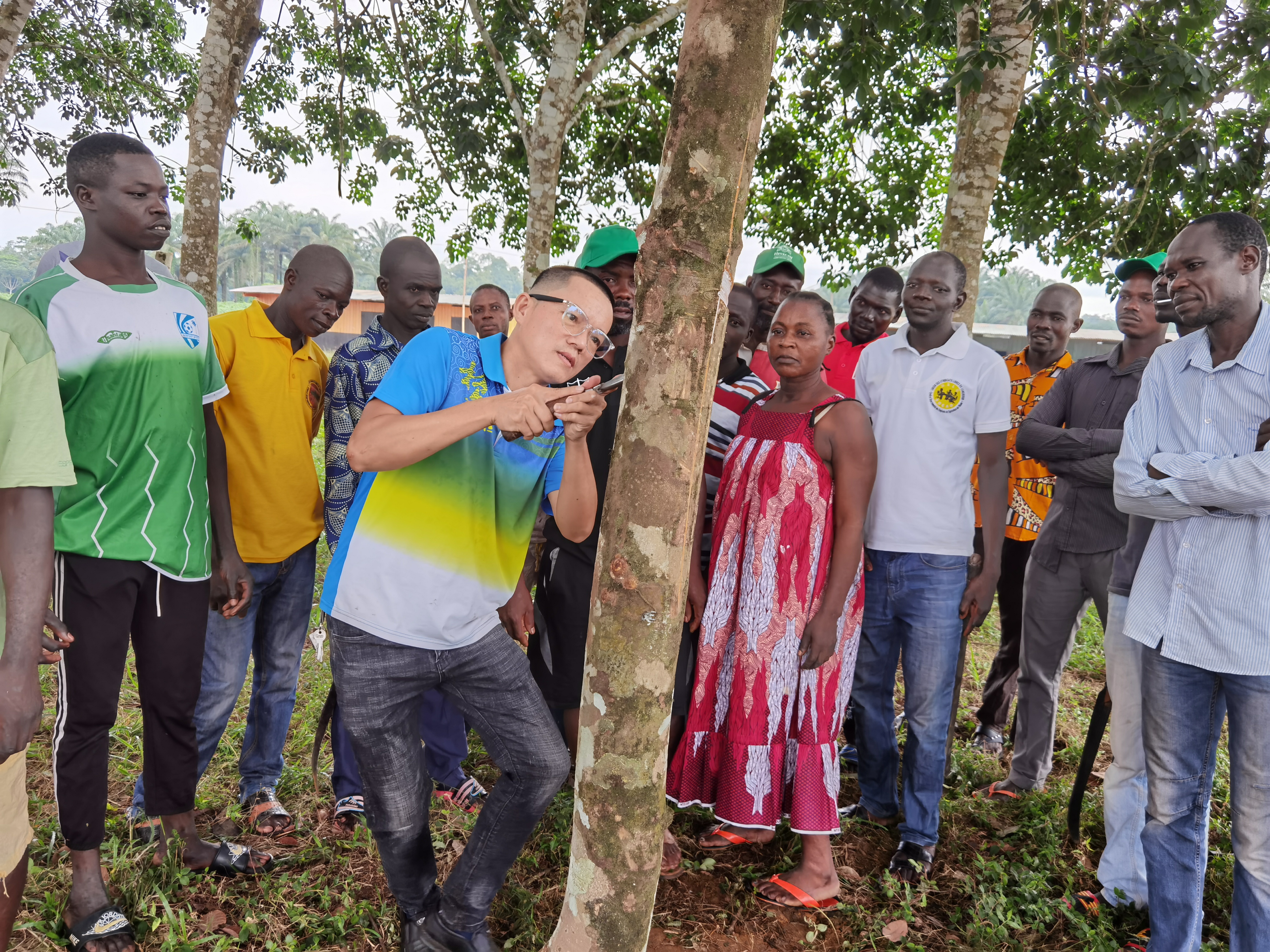 1720516952513075823.jpg 1720516952513075823.jpg