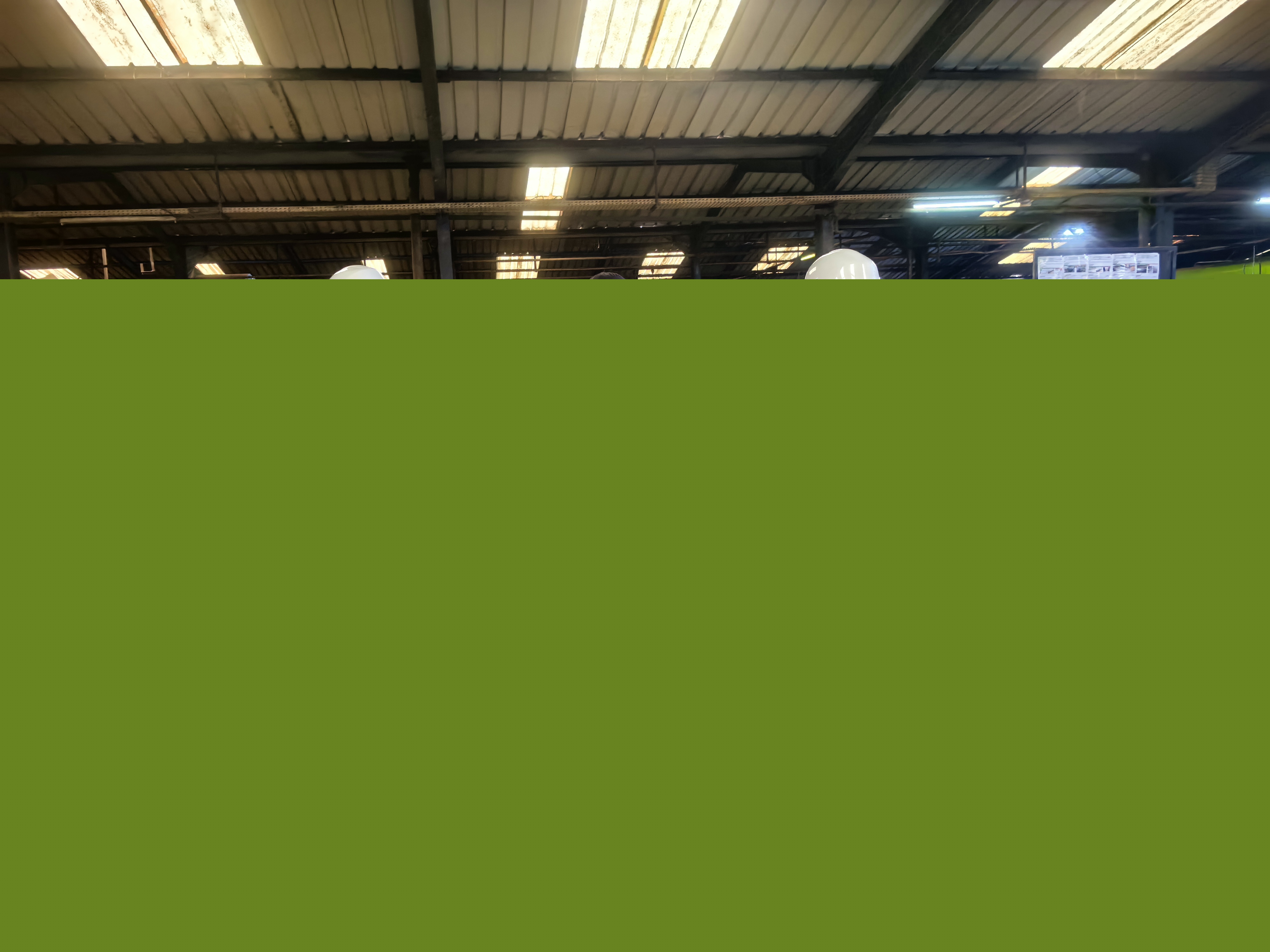 1748477927663093704.jpg 1748477927663093704.jpg